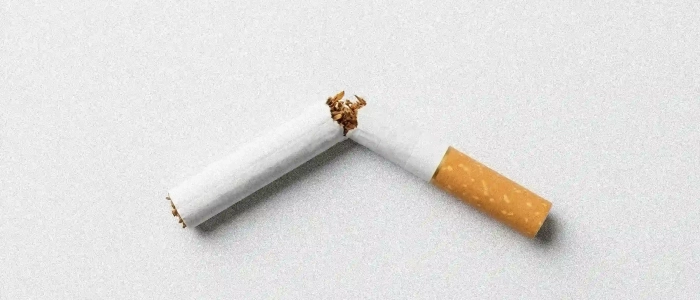 QOLA nicotine pouch history guide