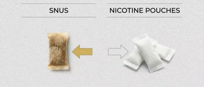 Snus vs nicotine pouches