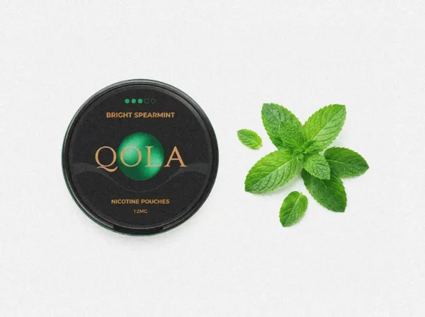 Are Nicotine Pouches Vegan? What You Need to Know