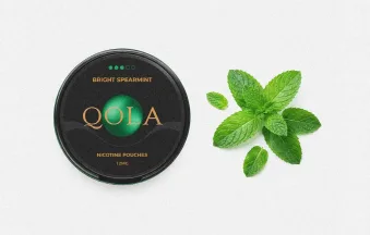 QOLA_NICOTINE_POUCH_BLOGS_QOLA_BLOG_11